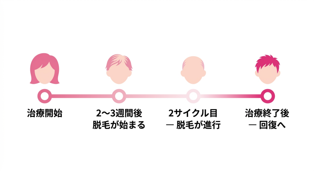 抗がん剤による脱毛のメカニズム — 毛根の細胞分裂が影響を受ける仕組み