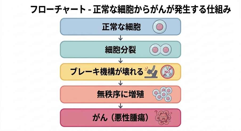 正常細胞ががん化する仕組みを示すイラスト — 細胞増殖のブレーキが壊れることでがんが発生する