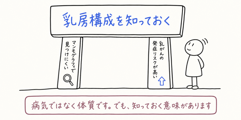 高濃度乳房はマンモグラフィで見つけにくく、発症リスクとも関連するため、自分の乳房構成を知る意味があることを示した図