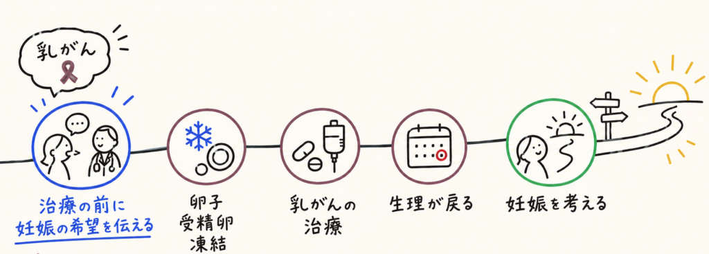 乳がんと診断されてから妊娠を考えるまでの順番を示した図。治療の前に妊娠の希望を伝える、卵子・受精卵の凍結、乳がんの治療、生理が戻る、妊娠を考える