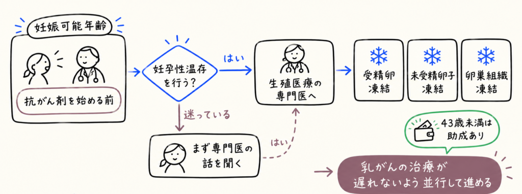 抗がん剤を始める前に妊孕性温存を考える流れの図。生殖医療の専門医への相談、受精卵凍結・未受精卵子凍結・卵巣組織凍結、43歳未満は助成あり
