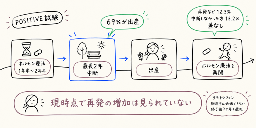 POSITIVE試験の流れの図。ホルモン療法を1年半〜2年半続けたあと最長2年中断して出産し、ホルモン療法を再開。69％が出産し、現時点で再発の増加は見られていない