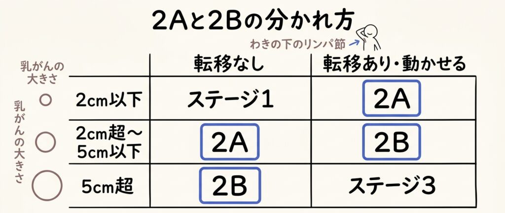 乳がんステージ2の2Aと2Bの分かれ方（乳がんの大きさとリンパ節転移の組み合わせ）を示した早見表